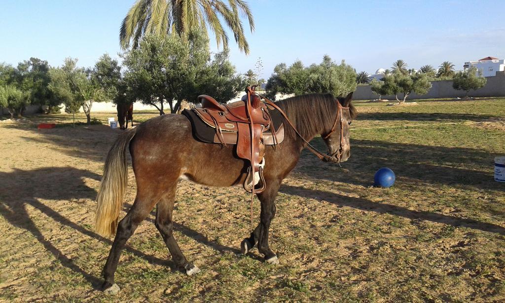 Menzel Churasco Djerba *